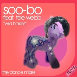 Обложка трека 'SOO BO ft. Tee WEBB - Wild Horses'
