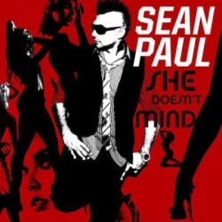Обложка трека 'Sean PAUL - She Doesnt Mind'