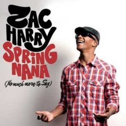 Обложка трека 'Zac HARRY - Spring Nana'