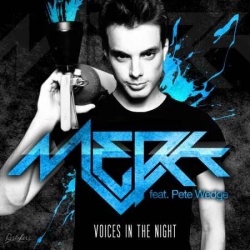 Обложка трека 'MERK & Pete WEDGE - Voices In The Night'