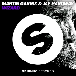 Обложка трека 'Martin GARRIX & Jay HARDWAY - Wizard'
