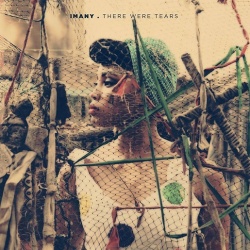 Обложка трека 'IMANY - There Were Tears'