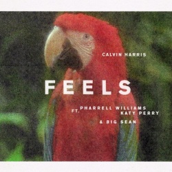 Обложка трека 'Calvin HARRIS & PHARRELL & Katy PERRY - Feels'
