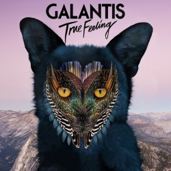 Обложка трека 'GALANTIS - True Feeling'