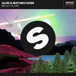 Обложка трека 'ALOK & Mathieu KOSS - Big Jet Plane'