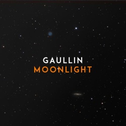Обложка трека 'GAULLIN - Moonlight'