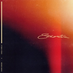 Обложка трека 'Shawn MENDES & Camila CABELLO - Senorita'