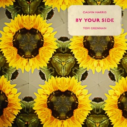 Обложка трека 'Calvin HARRIS & Tom GRENNAN - By Your Side'