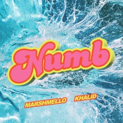 Обложка трека 'MARSHMELLO & KHALID - Numb'